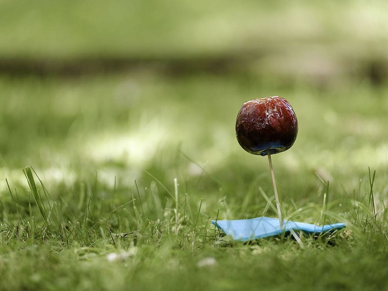 Lolipop Dünyasına Girin